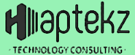 Haptekz Technology Consulting Logo